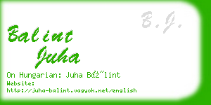balint juha business card